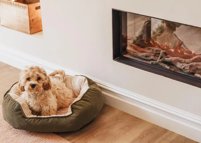 The Primrose Lejlighed *